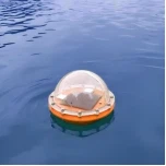 তরঙ্গ বয়